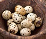 stockists of garden quail eggs